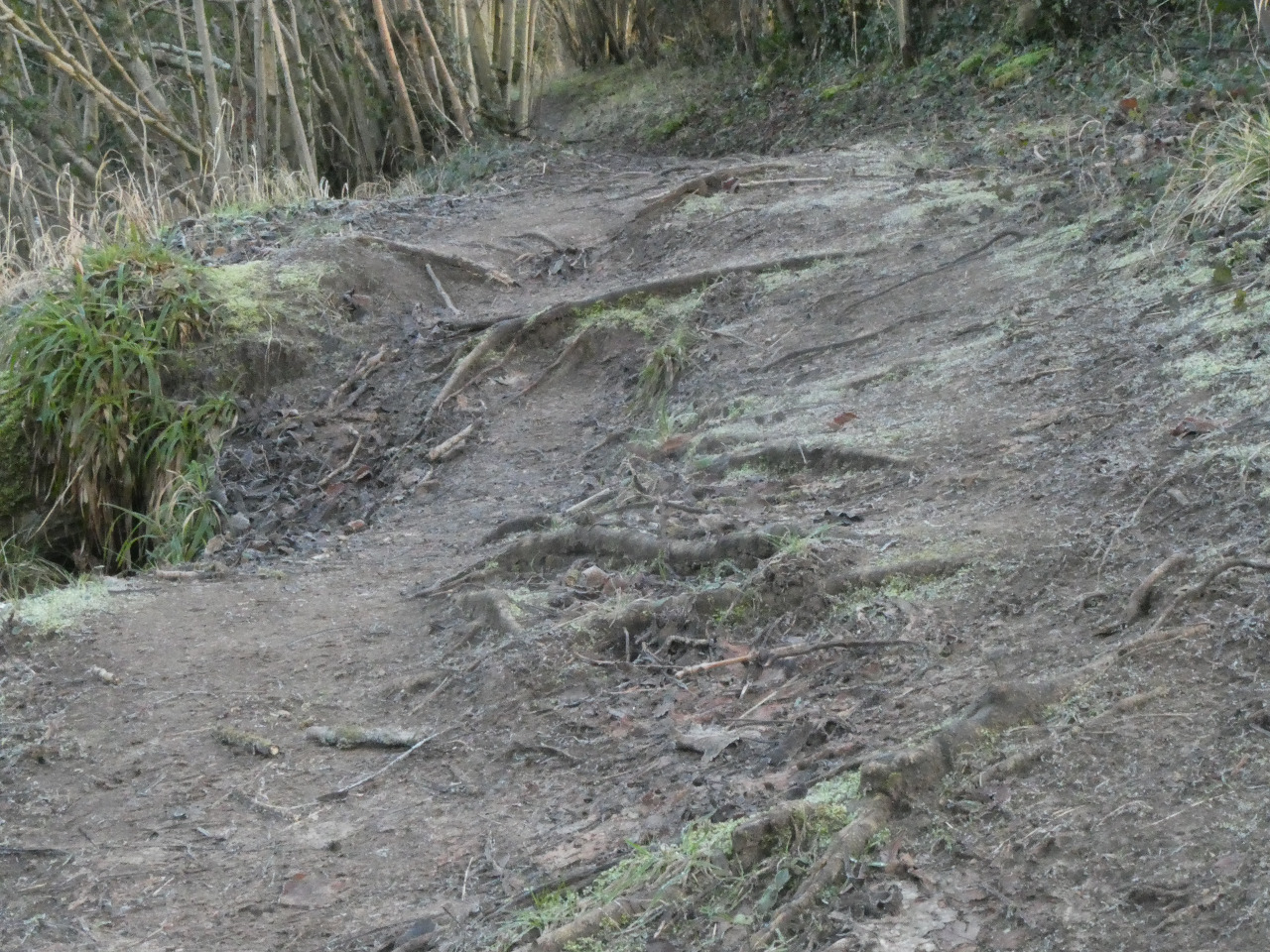 Photo by John Ockenden